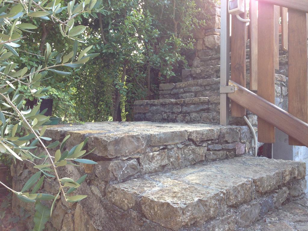 Bed and Breakfast Agriturismo "La Rosa Canina" Lerici Exterior foto