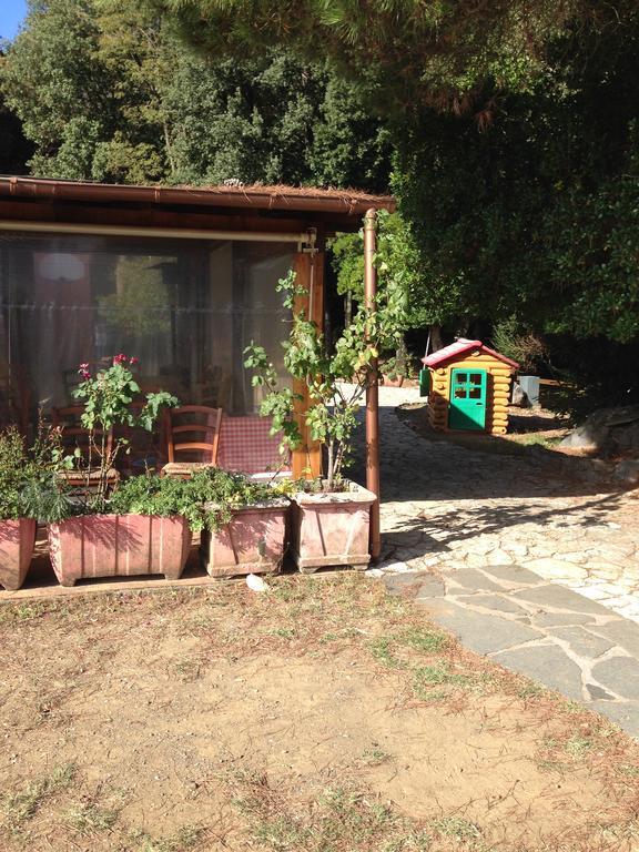 Bed and Breakfast Agriturismo "La Rosa Canina" Lerici Exterior foto